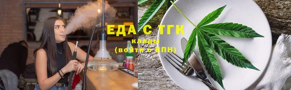 индика Богданович