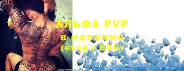индика Богданович