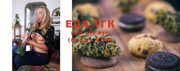 индика Богданович