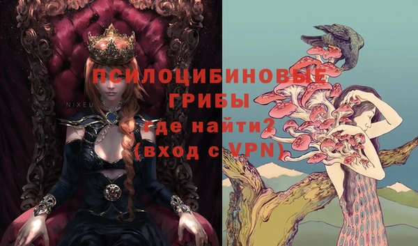 ешки Богородск