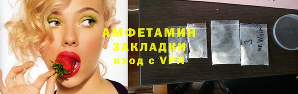 индика Богданович