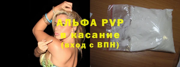 индика Богданович