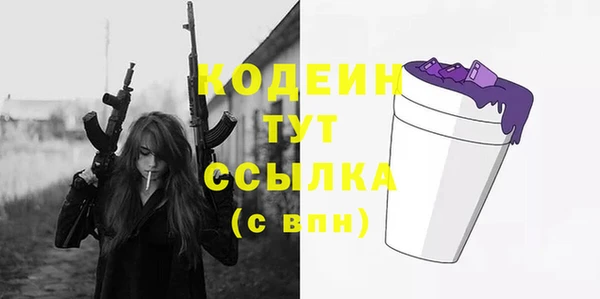 индика Богданович