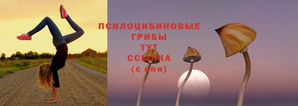 ешки Богородск