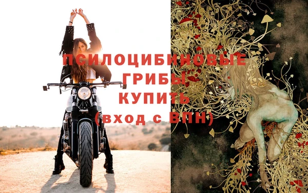 прущий лед Богородицк