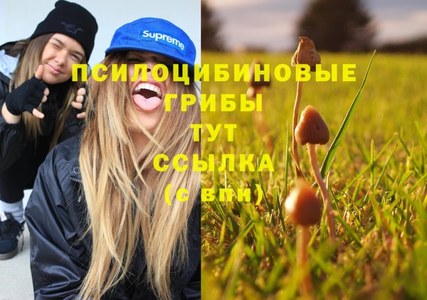 прущий лед Богородицк