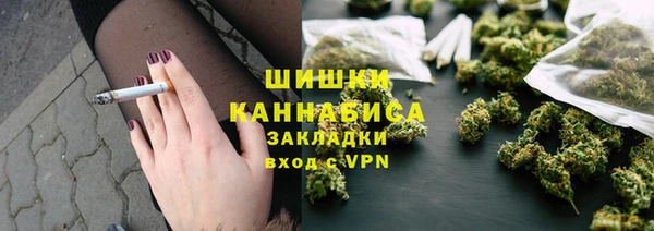 индика Богданович