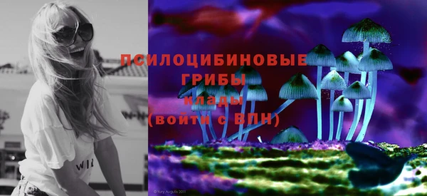 индика Богданович
