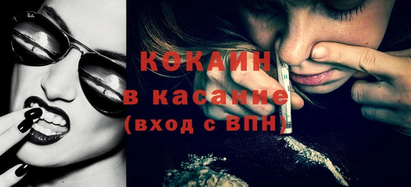 индика Богданович