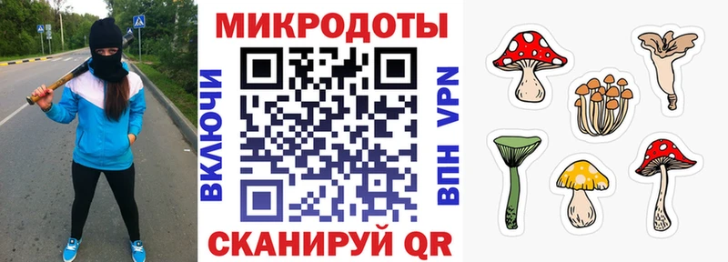 Купить где Куровское Псилоцибиновые грибы Magic Shrooms