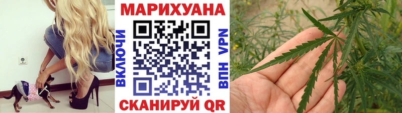 Купить закладки  Куровское  МАРИХУАНА тримм 